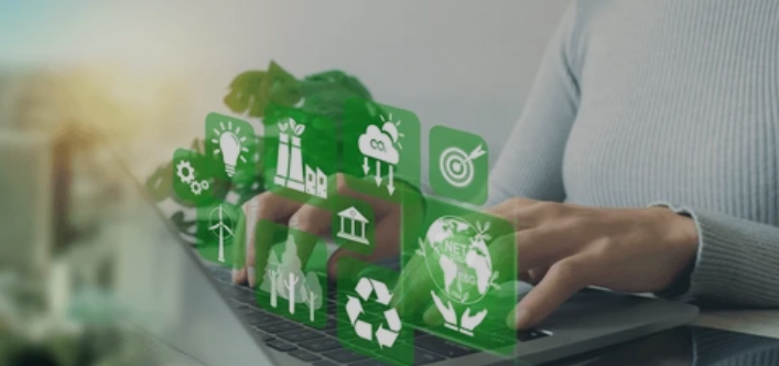 Training & Development